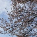 공차아산 이미지