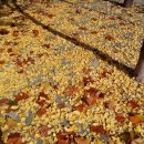 푸른가축병원 이미지