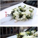 그린장식 네이버블로그