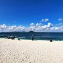 제주 우도 홍조단괴 해빈 | 제주도 동쪽 가볼만한곳 우도 천연기념물 제주 우도 홍조단괴 해빈