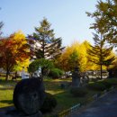 길안초등학교 이미지