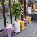 둔산큰별어린이집 | 대전 시청역 고기집 맛집 고기원칙 대전둔산점