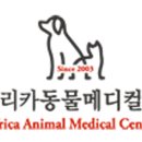 24시아프리카동물메디컬센터 이미지