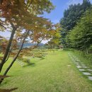 축사랑목장 | 수원 근교 경기도 수목장 어디가 좋을까? 실제 방문자들이 많이 찾는 이유