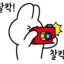 코즈게스트하우스 이미지