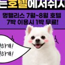 멍팰리스 이미지