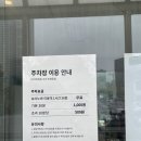 카페 속초 | 속초 대형 애견동반 카페 보사노바 속초 방문 후기