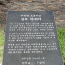 제8차 성지순례 첫 날 1(2014. 8. 30) : 구산성지 이미지