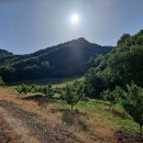 수주강변길 이미지