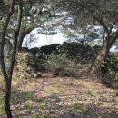 군북면사무소 | 옥천 환산성 제1보루 (沃川 環山城 第1堡壘)