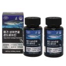 에버그린 이미지