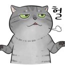 평택청아초등학교 이미지