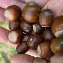 제820차, 창원둘레길 13일차, 천주산누리길 3구간을 걷고 이미지