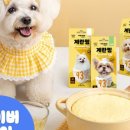 앤더독 이미지