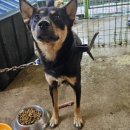 신광동물병원 이미지