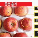 이레모바일 이미지
