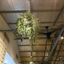 해피 플레이스(happy place) 이미지