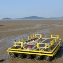 서해에서아침을펜션 이미지