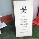 메이씨엘 이미지
