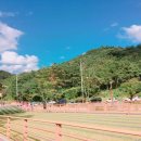 쇠평어린이공원 놀이터 이미지