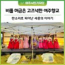 악단 광칠의 지금 풍류 | 비 오는 날, 여주향교에서 보낸 특별한 밤 - 달빛 풍류 음악회 후기
