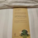 하늘 당구장 | [강원도 양양 가볼만한곳] 아이와 쏠비치 양양 방문 후기