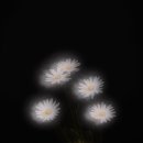 현도농장 이미지