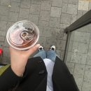 [독산] 독산동사진관에서 취업사진의 정석대로 찍은 후기