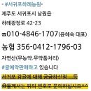 배산 멍에정 체육시설 | 배산(256.3m)-배산성지 집수지