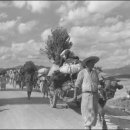 경북무도장 이미지