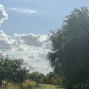 무궁화공원화장실(주차장) | 2025 10월 셋째주 &lt;김해 대동생태공원&gt; 코스모스 개화 상황, 방문후기 및 꿀팁 공유