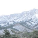 바라던밥 이미지