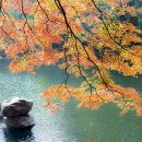 밤별2 캠핑장 이미지