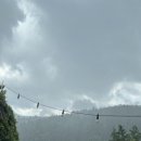 금양민박 이미지