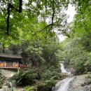 류가네가든 이미지