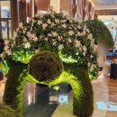 씨유 산본흰수염고래점 | 인스파이어 리조트 아레나 오로라 고래 감동이야