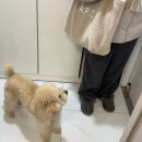 구로-구로-구로-841 | [오류동역 성인피아노] Sia Snowman 수강생님 연주 / 뮤지컬 EVITA 공연 후기