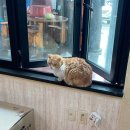 도그모루 | 🍊제주 김녕 여행에서 먹은 것들.zip｜3박 4일 내돈내산 맛집 기록 (+서쪽 일부)