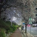 도촌북로 이미지