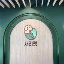 강남고양이 분양 히어로펫 | 강남강아지분양 고양이분양 서리펫 ! 믿고 맡길 수 있는 서리펫 강남점 후기
