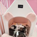 세종월드 이미지