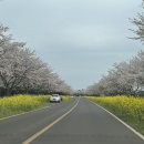 대륜세탁소 이미지