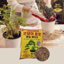 흙 쇼핑하우