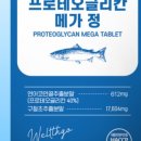메가웰스 이미지