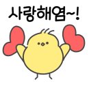 끌레오미용실 이미지
