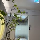 11620-19-19-4 이미지