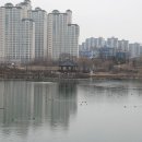 운정호수공원 이미지