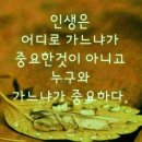 일일시호일 Daum카페