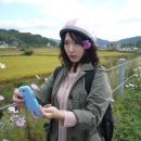 강촌초코민트 이미지