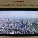 2014년 핫 이슈-77" 4K OLED TV Vs 85" 8K LCD TV 이미지